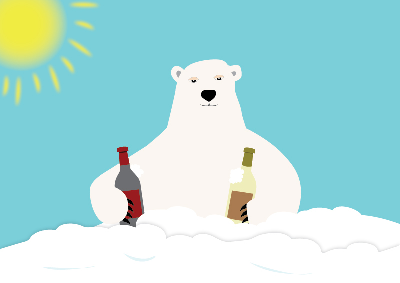 Comme rafraichir un vin en quelques minutes!