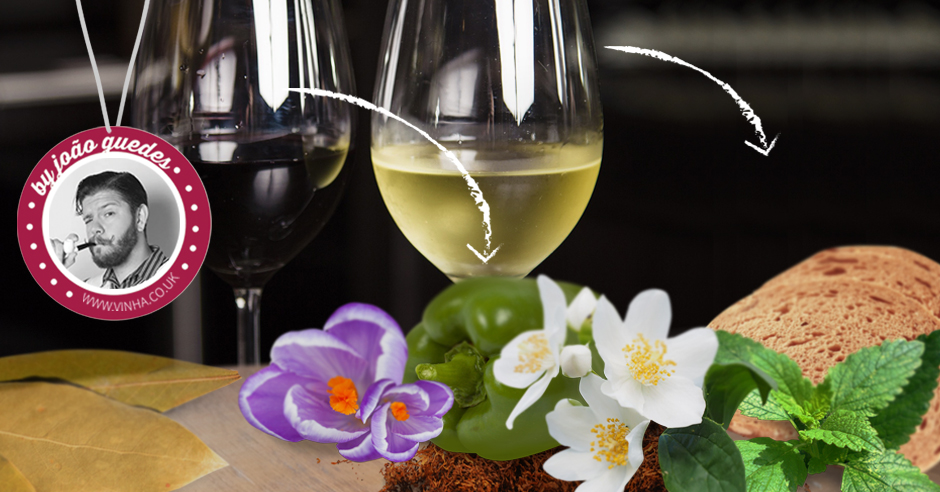 Les 3 types d’arômes dans le vin