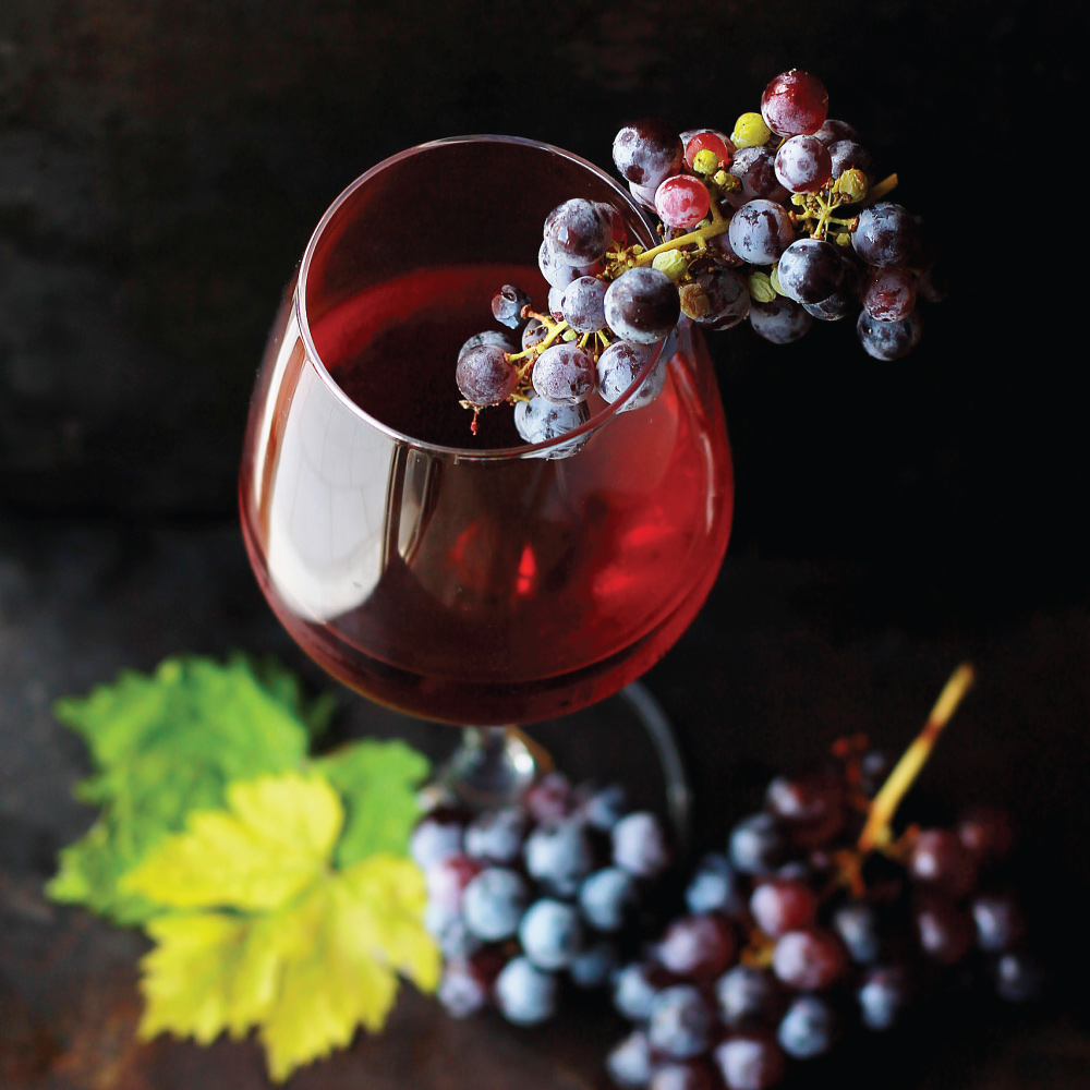 Les bienfaits du vin rouge avec le repas – Vinha
