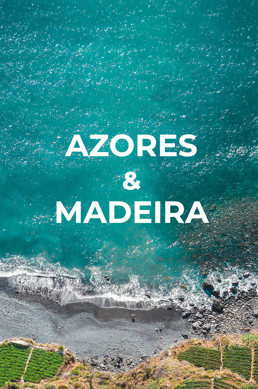 Açores e Madeira: découvrez les vins des îles portugaises